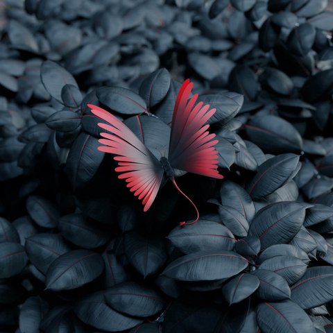 Zeigt einen Schmetterling auf Blätter
